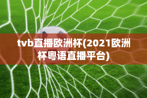 tvb直播欧洲杯(2021欧洲杯粤语直播平台)