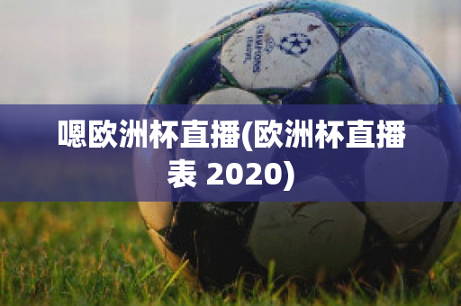 嗯欧洲杯直播(欧洲杯直播表 2020)