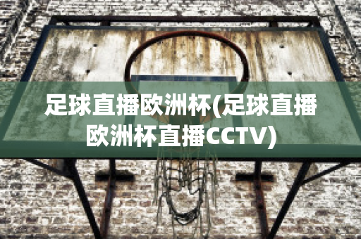 足球直播欧洲杯(足球直播欧洲杯直播CCTV)