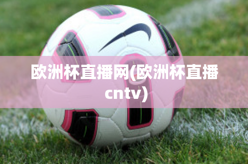 欧洲杯直播网(欧洲杯直播 cntv)