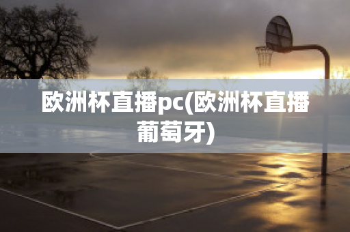 欧洲杯直播pc(欧洲杯直播葡萄牙)