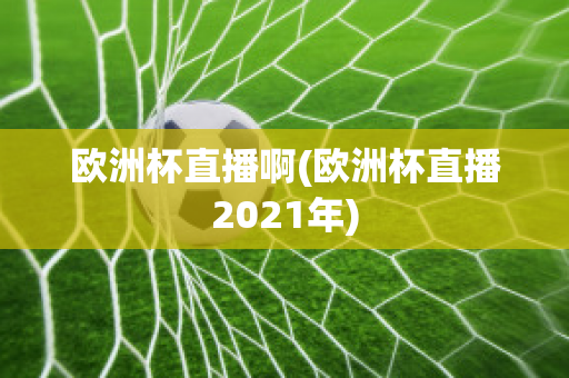 欧洲杯直播啊(欧洲杯直播2021年)