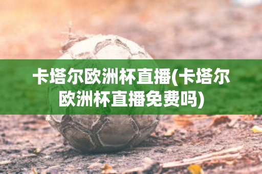 卡塔尔欧洲杯直播(卡塔尔欧洲杯直播免费吗)