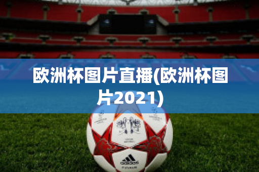 欧洲杯图片直播(欧洲杯图片2021)