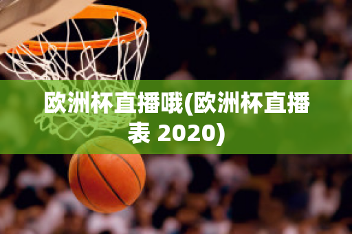 欧洲杯直播哦(欧洲杯直播表 2020)