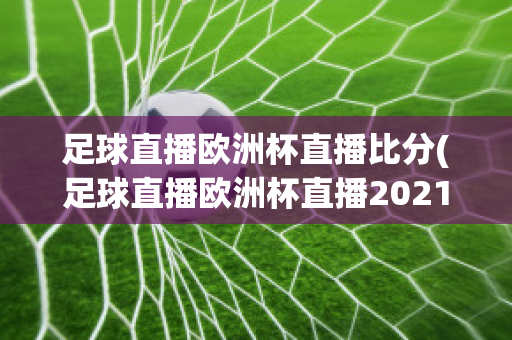 足球直播欧洲杯直播比分(足球直播欧洲杯直播2021)