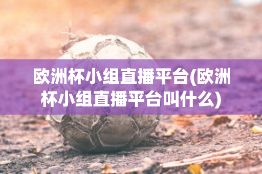 欧洲杯小组直播平台(欧洲杯小组直播平台叫什么)