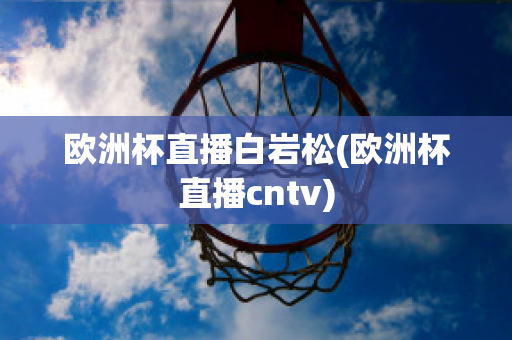 欧洲杯直播白岩松(欧洲杯直播cntv)