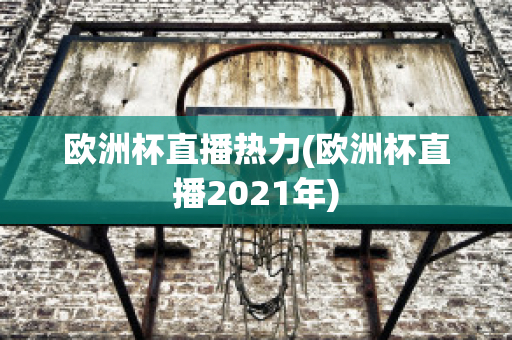 欧洲杯直播热力(欧洲杯直播2021年)