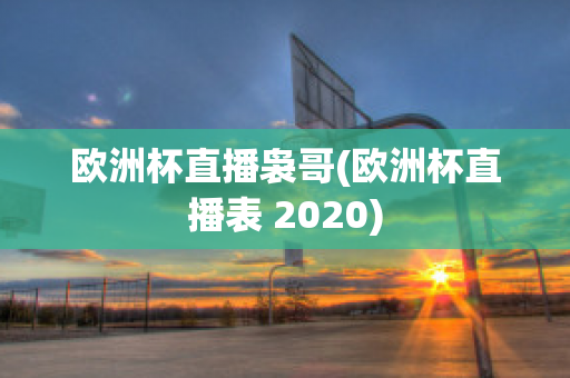 欧洲杯直播袅哥(欧洲杯直播表 2020)