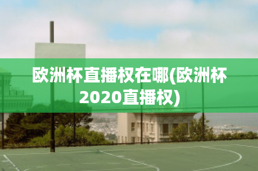 欧洲杯直播权在哪(欧洲杯2020直播权)