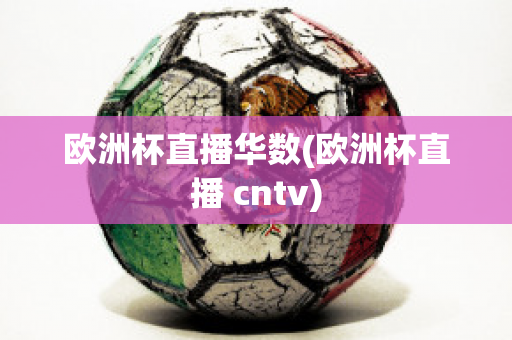 欧洲杯直播华数(欧洲杯直播 cntv)