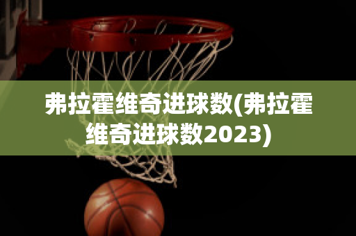 弗拉霍维奇进球数(弗拉霍维奇进球数2023)