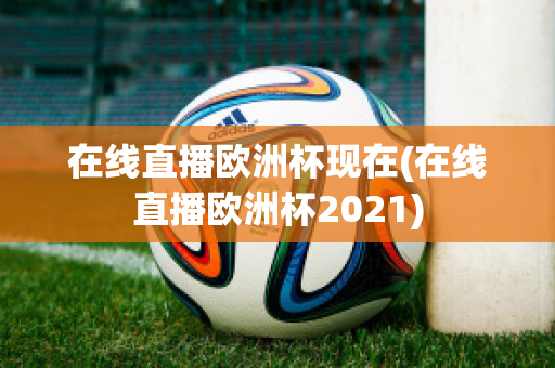 在线直播欧洲杯现在(在线直播欧洲杯2021)