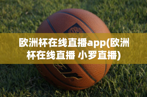 欧洲杯在线直播app(欧洲杯在线直播 小罗直播)