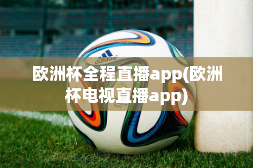 欧洲杯全程直播app(欧洲杯电视直播app)