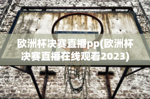 欧洲杯决赛直播pp(欧洲杯决赛直播在线观看2023)