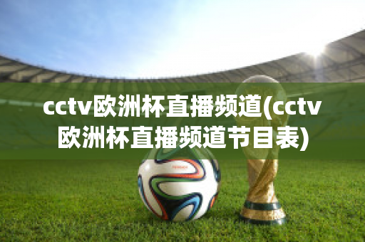 cctv欧洲杯直播频道(cctv欧洲杯直播频道节目表)