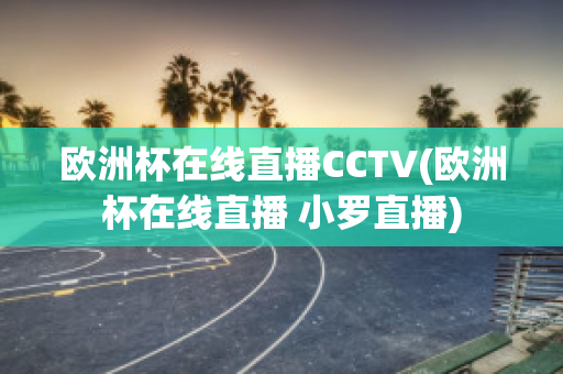 欧洲杯在线直播CCTV(欧洲杯在线直播 小罗直播)