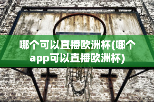 哪个可以直播欧洲杯(哪个app可以直播欧洲杯)