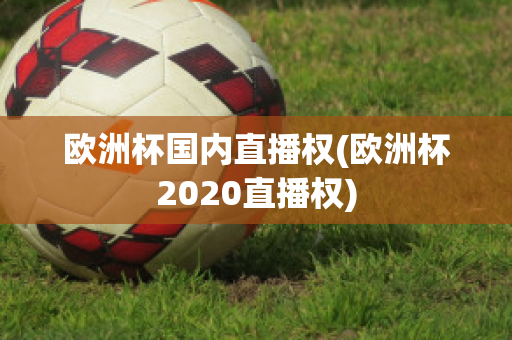 欧洲杯国内直播权(欧洲杯2020直播权)