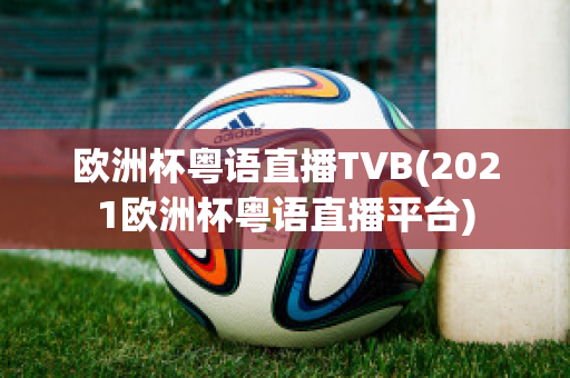 欧洲杯粤语直播TVB(2021欧洲杯粤语直播平台)