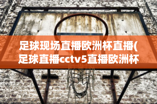 足球现场直播欧洲杯直播(足球直播cctv5直播欧洲杯)