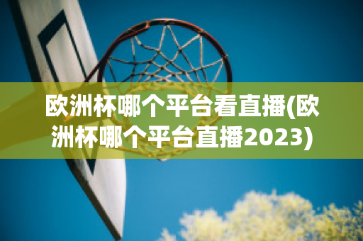 欧洲杯哪个平台看直播(欧洲杯哪个平台直播2023)