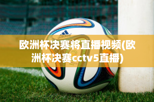 欧洲杯决赛将直播视频(欧洲杯决赛cctv5直播)