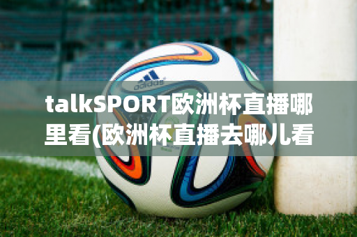 talkSPORT欧洲杯直播哪里看(欧洲杯直播去哪儿看)