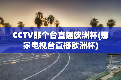 CCTV那个台直播欧洲杯(那家电视台直播欧洲杯)