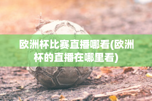 欧洲杯比赛直播哪看(欧洲杯的直播在哪里看)