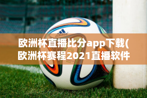 欧洲杯直播比分app下载(欧洲杯赛程2021直播软件)