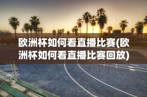 欧洲杯如何看直播比赛(欧洲杯如何看直播比赛回放)