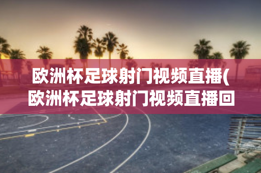 欧洲杯足球射门视频直播(欧洲杯足球射门视频直播回放)