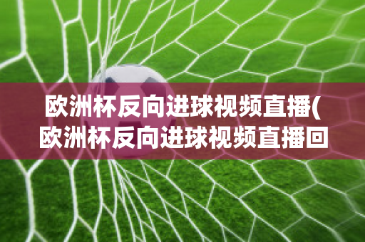 欧洲杯反向进球视频直播(欧洲杯反向进球视频直播回放)