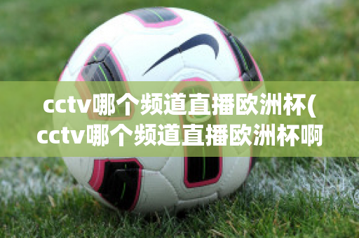 cctv哪个频道直播欧洲杯(cctv哪个频道直播欧洲杯啊)