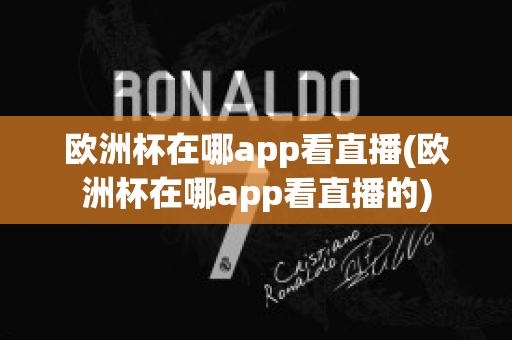 欧洲杯在哪app看直播(欧洲杯在哪app看直播的)