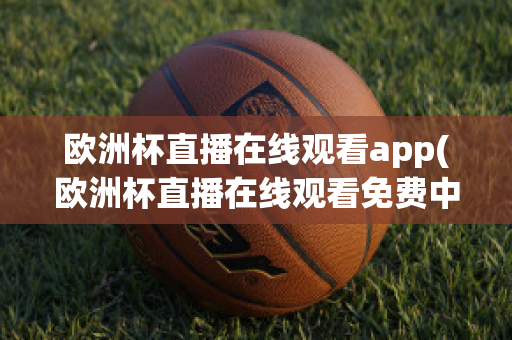 欧洲杯直播在线观看app(欧洲杯直播在线观看免费中央五台)