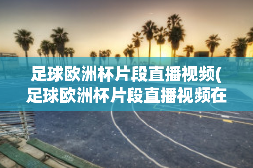 足球欧洲杯片段直播视频(足球欧洲杯片段直播视频在线观看)