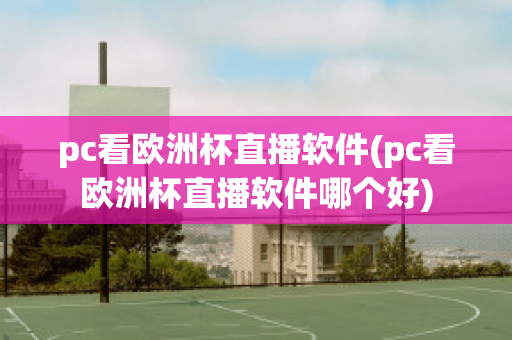 pc看欧洲杯直播软件(pc看欧洲杯直播软件哪个好)