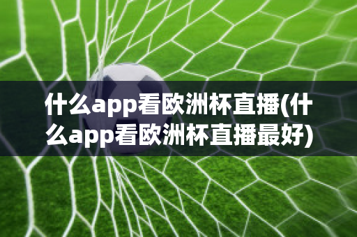 什么app看欧洲杯直播(什么app看欧洲杯直播最好)