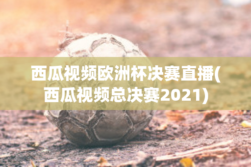 西瓜视频欧洲杯决赛直播(西瓜视频总决赛2021)