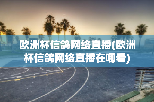 欧洲杯信鸽网络直播(欧洲杯信鸽网络直播在哪看)