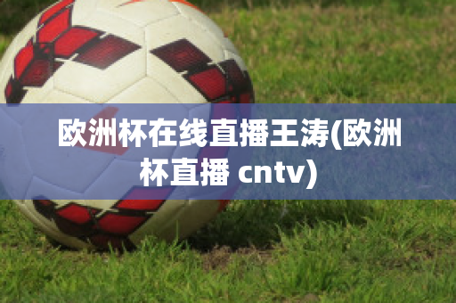 欧洲杯在线直播王涛(欧洲杯直播 cntv)