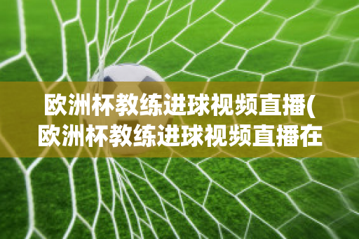 欧洲杯教练进球视频直播(欧洲杯教练进球视频直播在线观看)