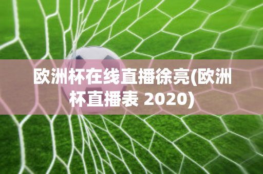 欧洲杯在线直播徐亮(欧洲杯直播表 2020)