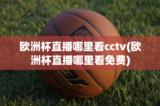 欧洲杯直播哪里看cctv(欧洲杯直播哪里看免费)