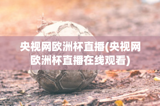 央视网欧洲杯直播(央视网欧洲杯直播在线观看)