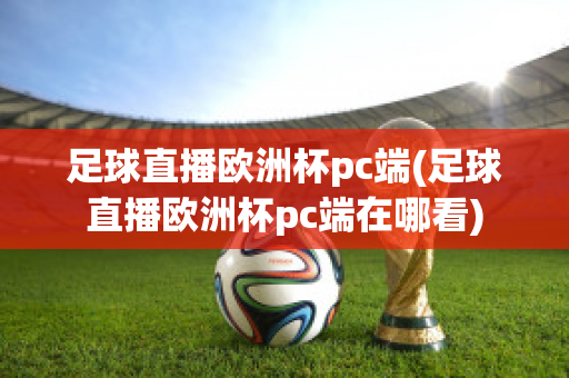 足球直播欧洲杯pc端(足球直播欧洲杯pc端在哪看)